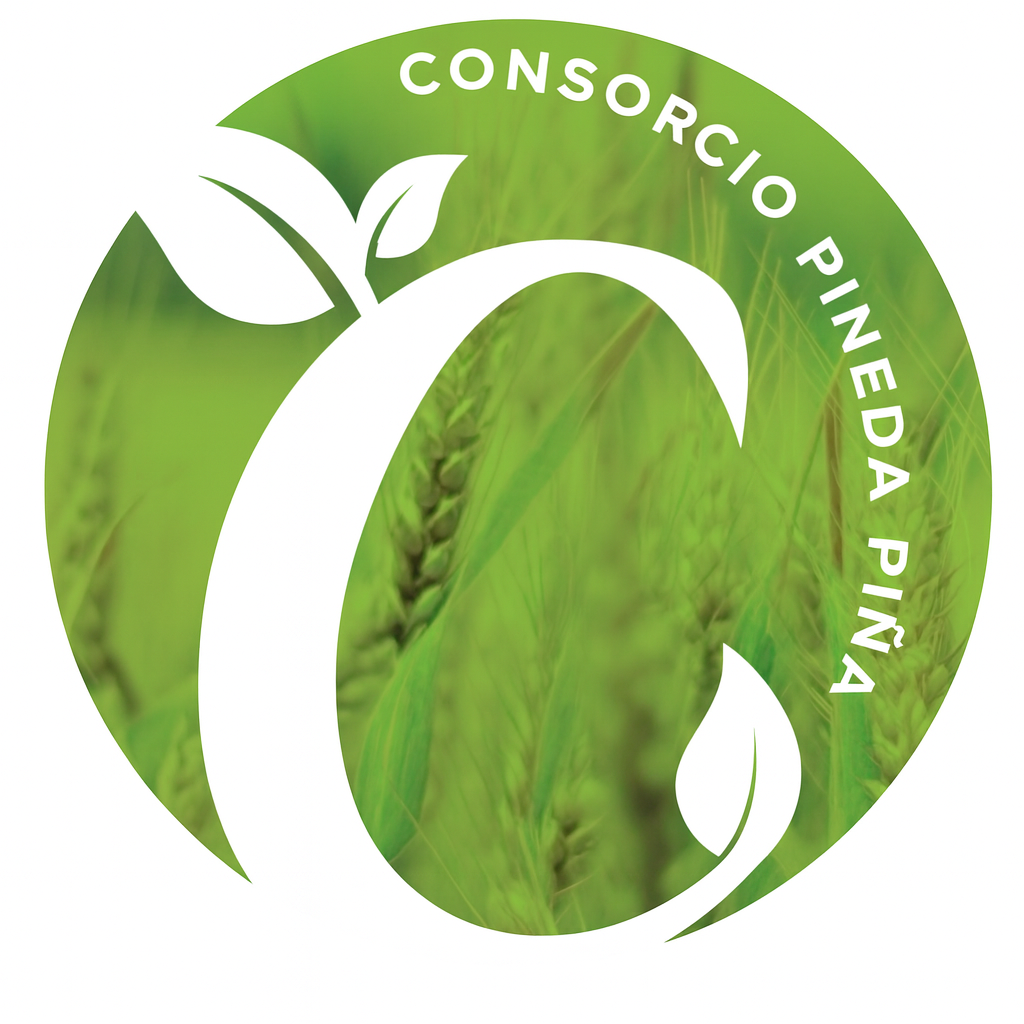 Gerencia General, COPPISAC